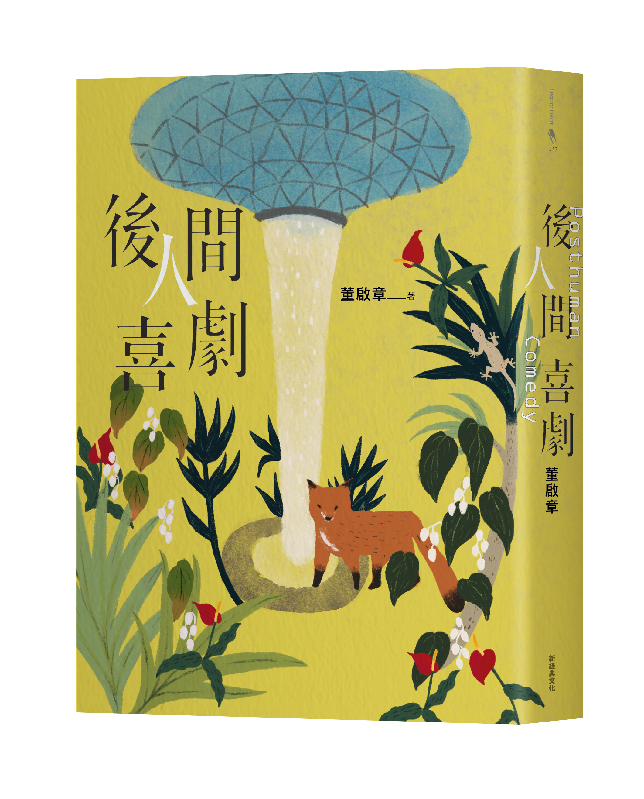 立體2