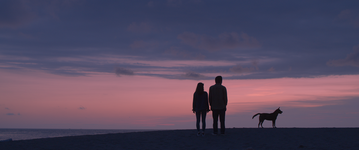 calm-still-01
