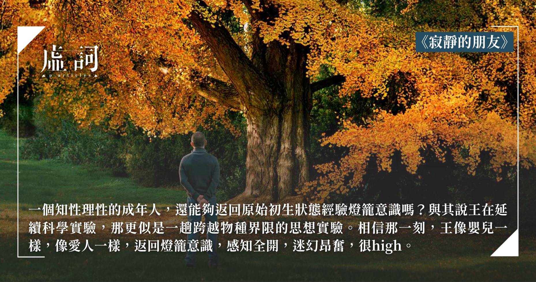 2e137ccad066a6e759c47c961ef10567