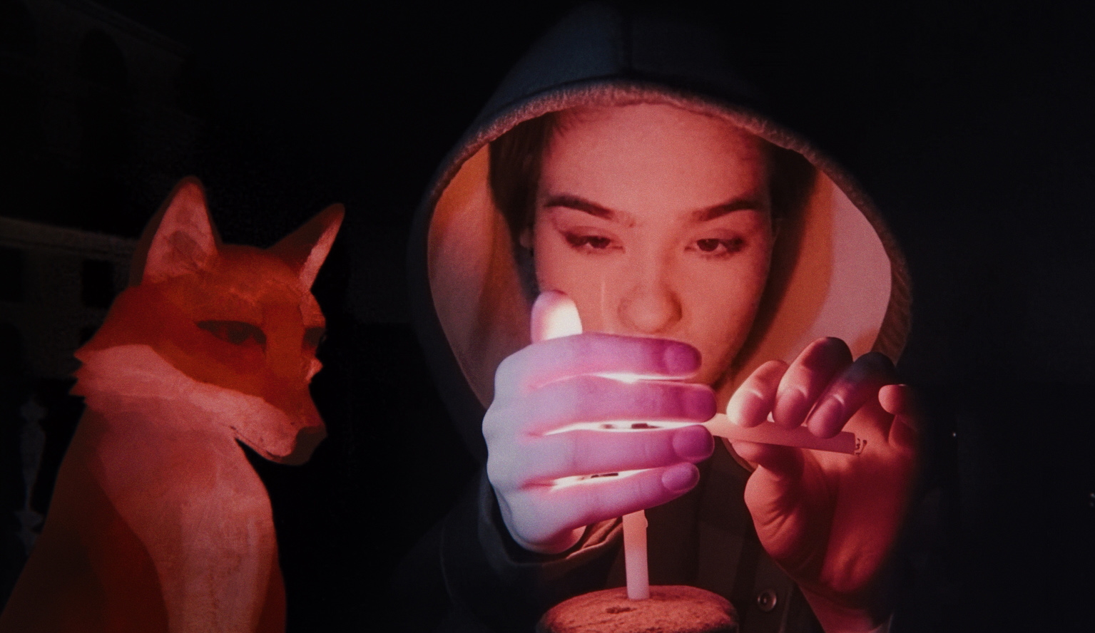 Fox_3